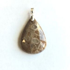 Fossil Coral Gemstone Pendant with 925 Sterling Silver Findings